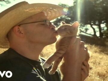 [ID: 0C3zgYW_FAM] Youtube Automatic