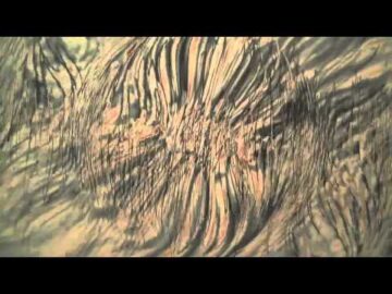 [ID: 3bfUJwwFyqA] Youtube Automatic