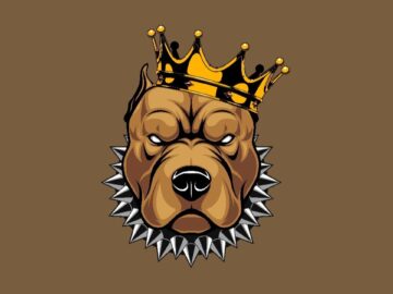 [ID: 4Q0Fn6eg46I] Youtube Automatic