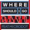 [Mixtape]라비(Ravi)-WHERE SHOULD I GO (FEAT. MICRODOT) (prod. by Ravi)