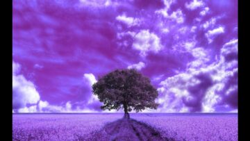 [ID: B55ScN0Jljg] Youtube Automatic