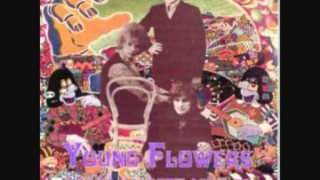 [ID: BQkdxcDp-wY] Youtube Automatic