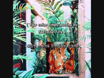 [ID: BW2f8hWWUho] Youtube Automatic