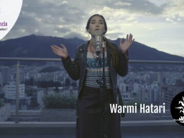 [ID: d_bZ7wrTbvo] Youtube Automatic