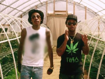 [ID: Fc_4WI8FwRg] Youtube Automatic