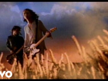 [ID: g3T9AT8FBtc] Youtube Automatic