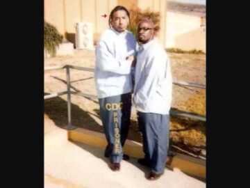 [ID: JtlWuwMRDVc] Youtube Automatic