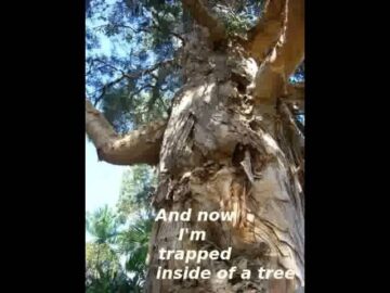 [ID: _L2bwHFgfow] Youtube Automatic