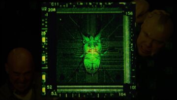 [ID: l_YA_ESGFzo] Youtube Automatic