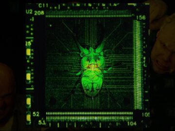 [ID: l_YA_ESGFzo] Youtube Automatic