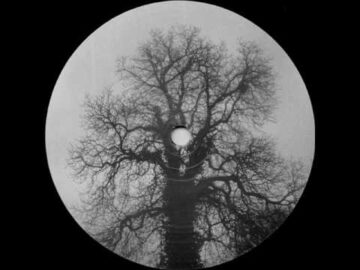 [ID: m2nWPbtv1gI] Youtube Automatic