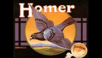 [ID: Q-dTpj6j0oY] Youtube Automatic