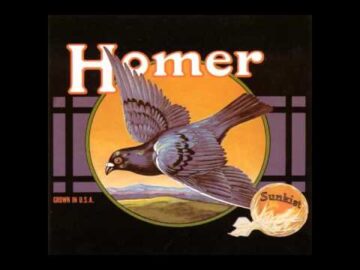 [ID: Q-dTpj6j0oY] Youtube Automatic