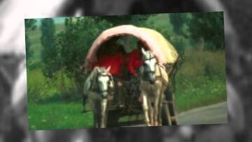 [ID: QZE0epq05pQ] Youtube Automatic