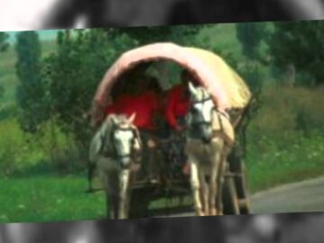 [ID: QZE0epq05pQ] Youtube Automatic