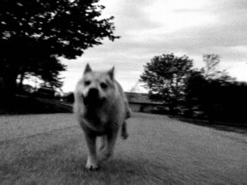 [ID: SjJHH6IL3Nc] Youtube Automatic