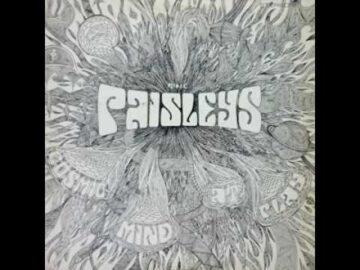 [ID: TyDutA-8REs] Youtube Automatic