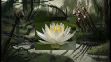 [ID: UJmfoc6dYcA] Youtube Automatic