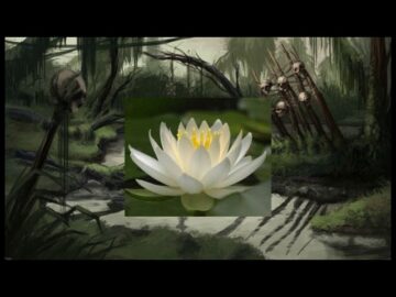 [ID: UJmfoc6dYcA] Youtube Automatic