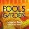 Fools Garden – Lemon Tree (Official HD Video)