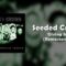 Seeded Crown – Giving In (Remastered)