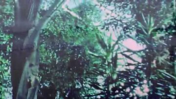 [ID: z-cISmtXk1M] Youtube Automatic