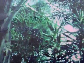 [ID: z-cISmtXk1M] Youtube Automatic