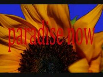 [ID: Zbh74t3WUWA] Youtube Automatic