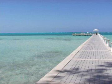 [ID: zl3oKxhxTSQ] Youtube Automatic