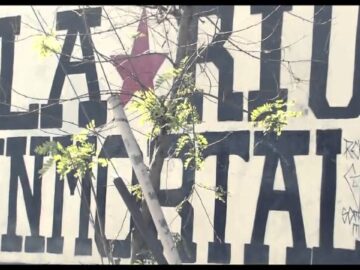 [ID: ZPK3H3y5Sa8] Youtube Automatic