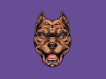 [ID: 1tTfvIazoE4] Youtube Automatic