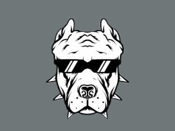 [ID: 2dNUwi3UyX0] Youtube Automatic