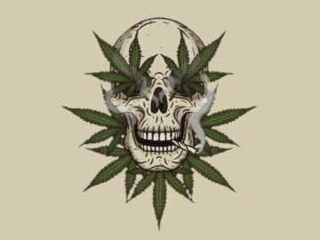 [ID: 3LBcI8Db94o] Youtube Automatic