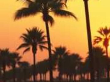 [ID: 69GgZPUx5JE] Youtube Automatic