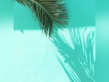 [ID: 9d3ZJv1alG8] Youtube Automatic