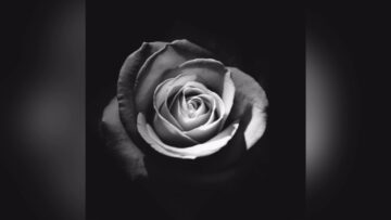 [ID: AY50nN7P_mk] Youtube Automatic