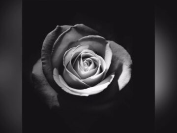 [ID: AY50nN7P_mk] Youtube Automatic