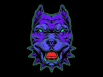 [ID: DgESvRry4vY] Youtube Automatic