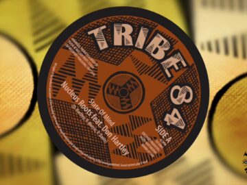 [ID: -DrkDmbHHpE] Youtube Automatic