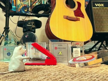 [ID: iUVUpEa_Sw4] Youtube Automatic