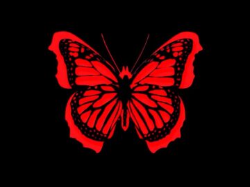 [ID: JJ3SvBj6TTI] Youtube Automatic