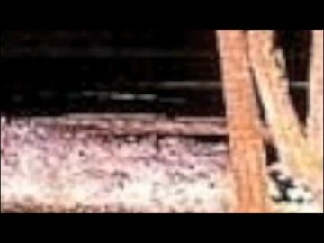 [ID: jSj00wTHC5w] Youtube Automatic