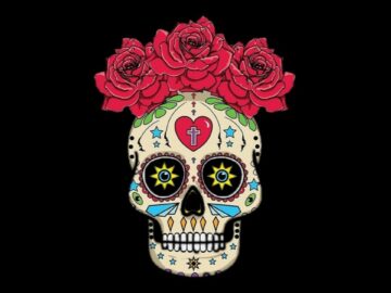 [ID: lgQLzRDvSlk] Youtube Automatic