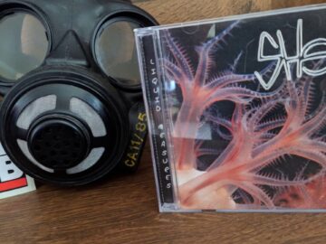 [ID: lKB2MXSRhJ8] Youtube Automatic