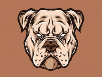 [ID: nwcXbOcYAco] Youtube Automatic