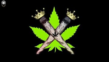 [ID: rN2q_WGOR0M] Youtube Automatic