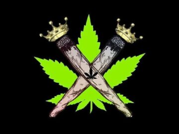 [ID: rN2q_WGOR0M] Youtube Automatic