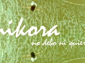 [ID: ToAI0wJ2ggs] Youtube Automatic