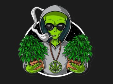 [ID: UEyYatI36BE] Youtube Automatic