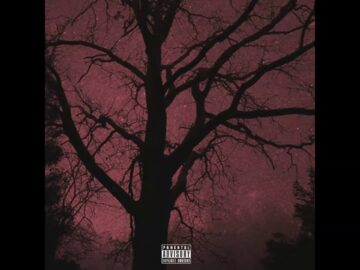 [ID: vEW-7W7PTaU] Youtube Automatic